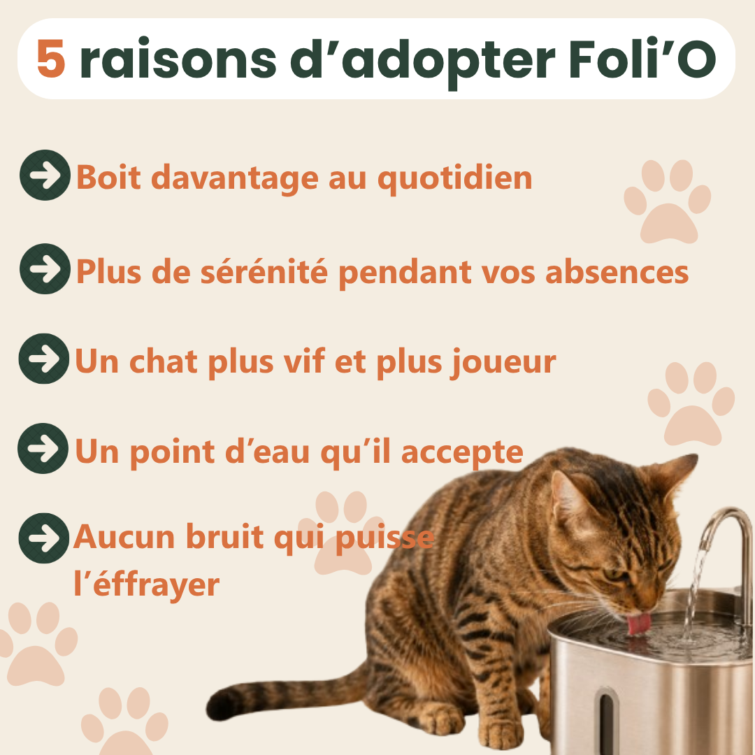Fontaine Féli’O – Hydratation même en votre absence