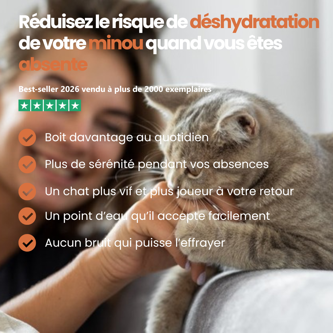 Fontaine Féli’O – Hydratation même en votre absence