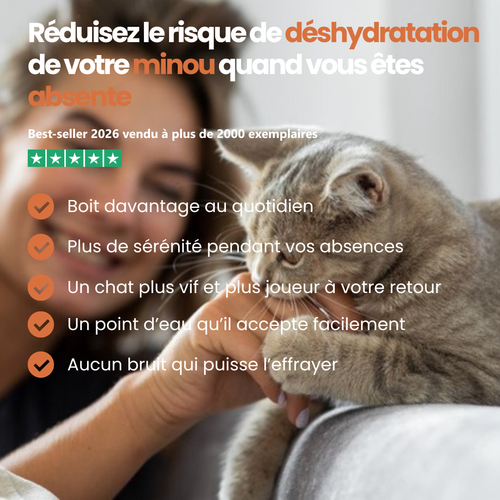 Fontaine Féli’O – Hydratation même en votre absence