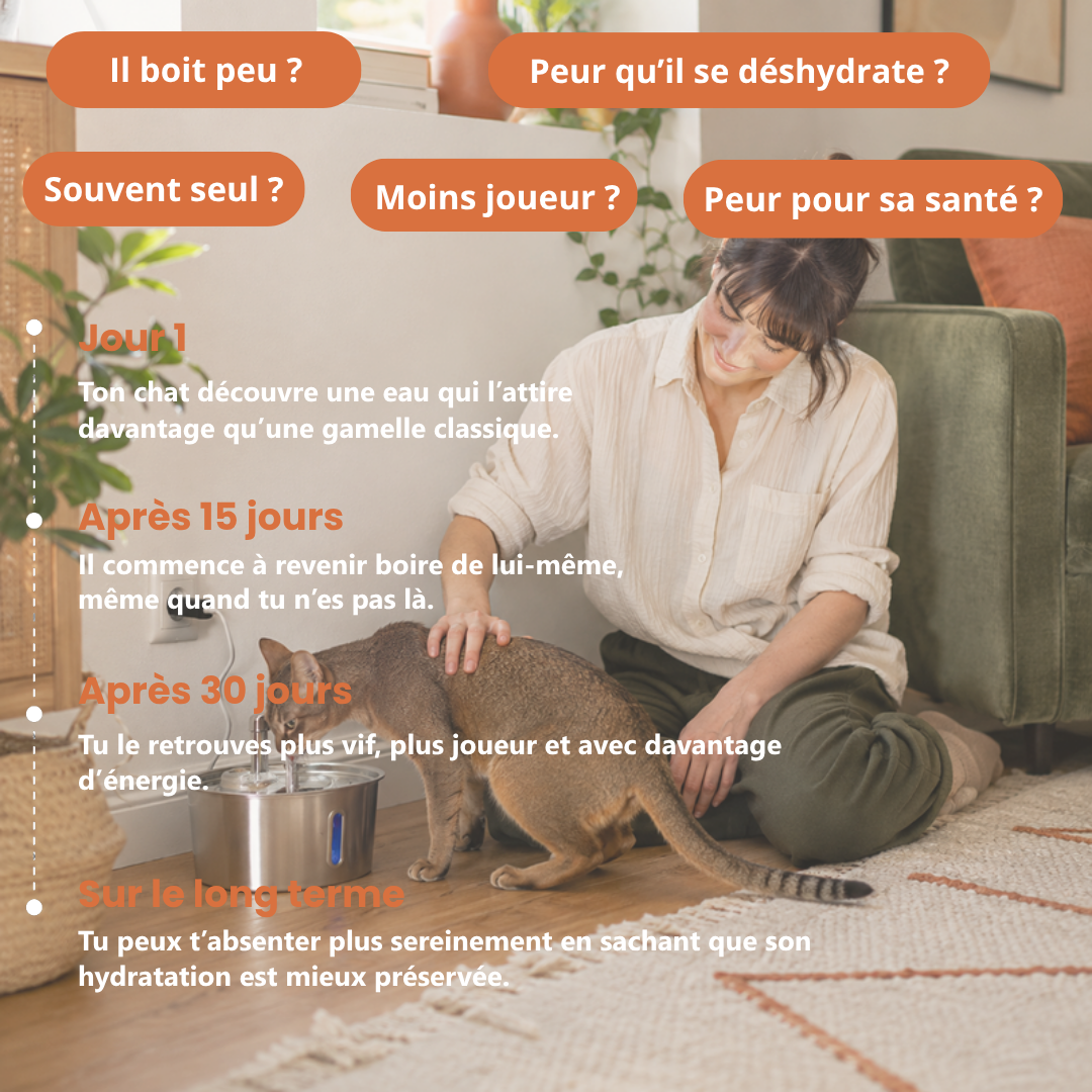 Fontaine Féli’O – Hydratation même en votre absence