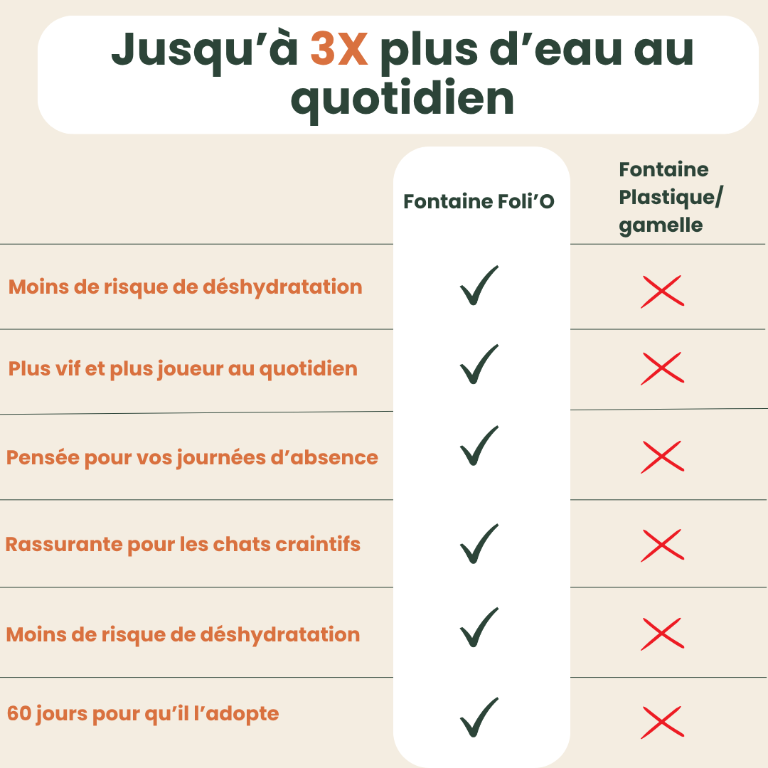 Fontaine Féli’O – Hydratation même en votre absence