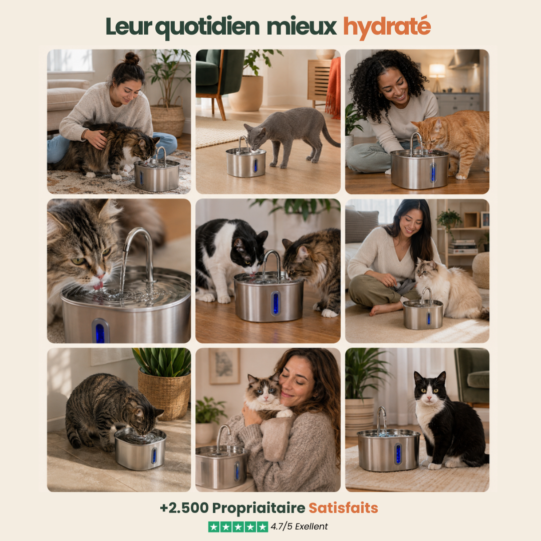 Fontaine Féli’O – Hydratation même en votre absence