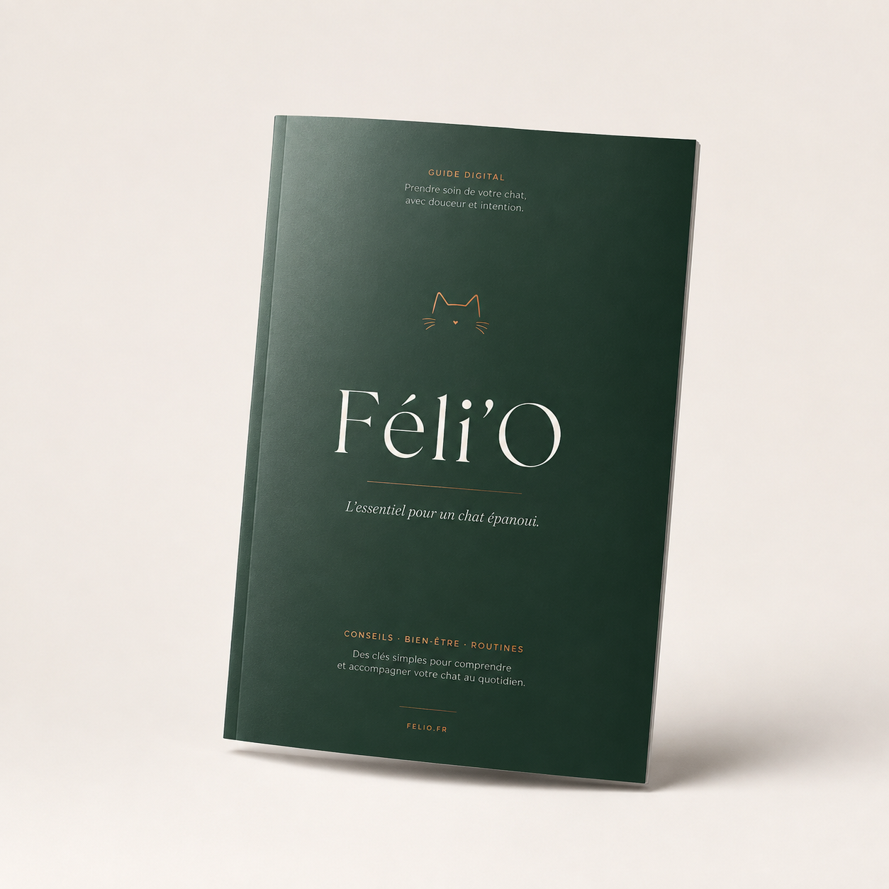 1 Ebook